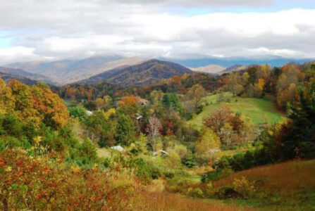 Honoring the Seasons Through Land-Based Living Image